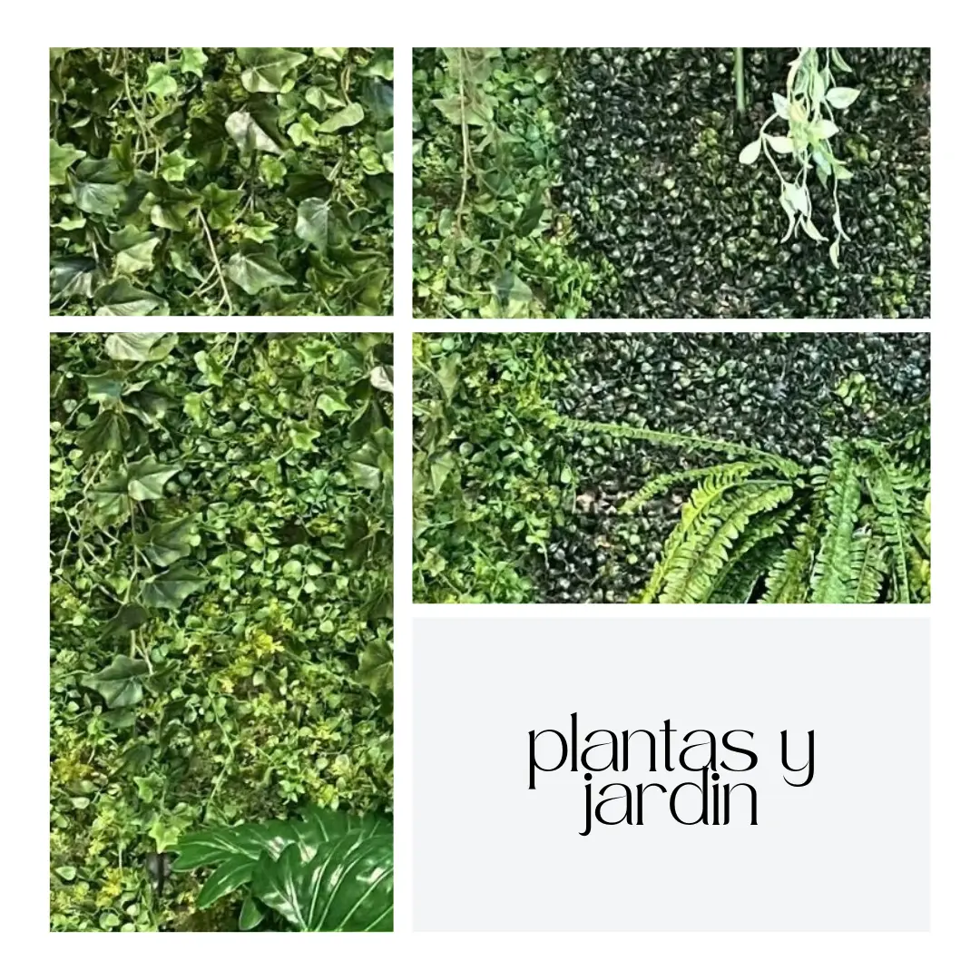 Plantas & Jardin
