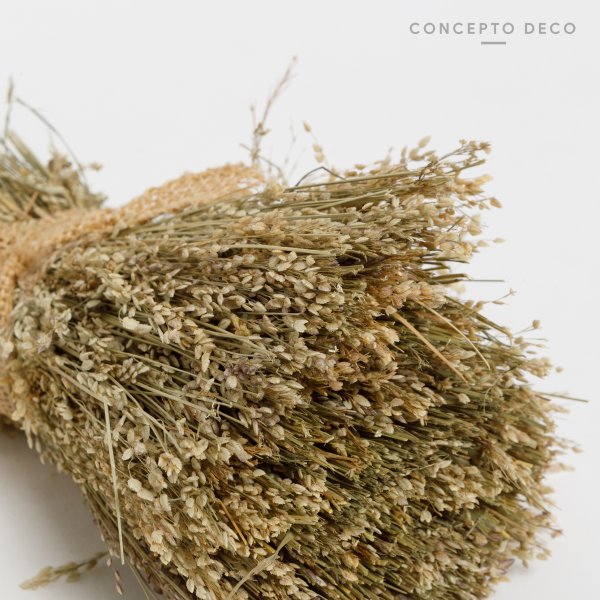 FLORES SECAS BOUQUET GRASS NATURAL 19CM