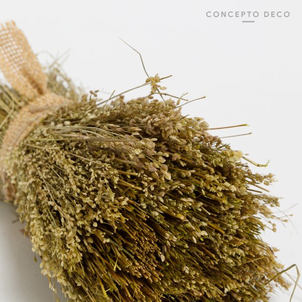 FLORES SECAS BOUQUET GRASS VEDE 19CM