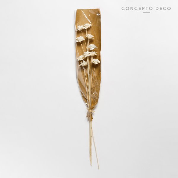 FLORES SECAS BOUQUET RUD STICK SPECIAL BLEECH 82CM