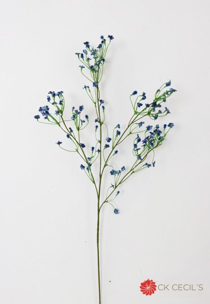 GIPSOPHILA 60CM INBL