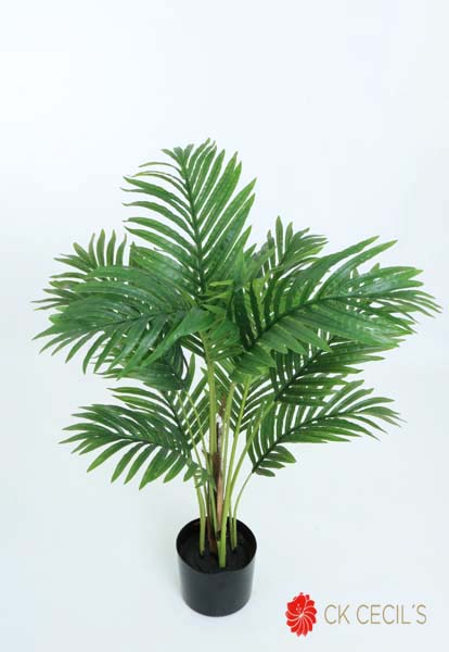 HAWAIIAN PALM X 13 LVS. X 91CM