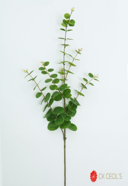 EUCALYPTUS SPRAY X 94CM / GREEN RM57150