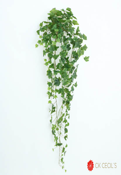 IVY HANGING BUSH 303LV.1.30 MT / GREEN VR52790