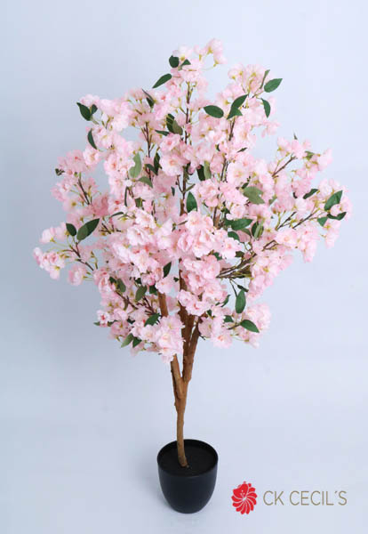 CHERRY BLOSSOM TREE X 1.20MTS. PINK