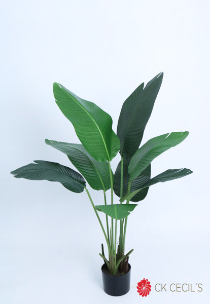 TRAVELERS BANANA LEAF X8LX108C GREEN
