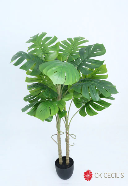 PHILO TREE TRUNK X16L.X1.29MTS GREEN CREAM
