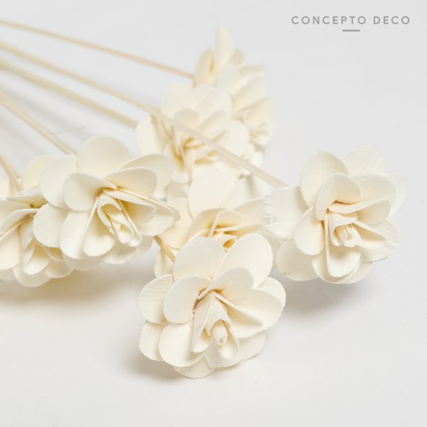 FLORES SECAS BOUQUET RUD STICK SPECIAL BLEECH 82CM