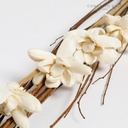 FLORES SECAS BOUQUET LUCCA GARDENIA 70CM