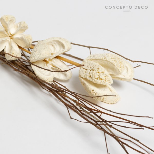 FLORES SECAS BOUQUET BULLET FLOWER WHITE 70CM