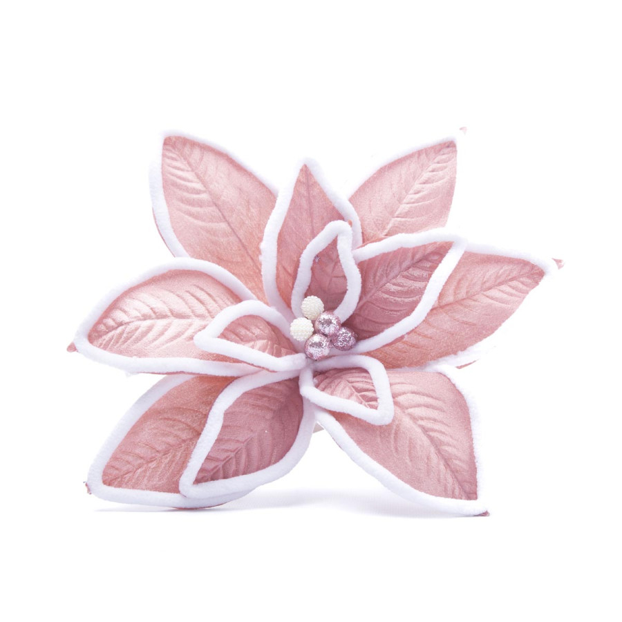 XIN ESTERLLA FEDERAL ROSA BORDE BLANCO 22 CM