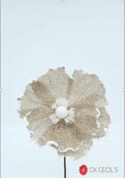 MAGNOLIA PICK 22 CM. CHAMP BROWN WHITE