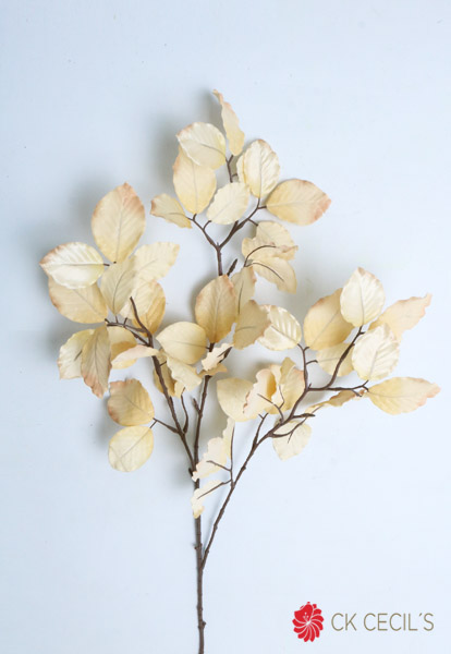 MARBLE BEECH SPAY X 99 CM. CREAM