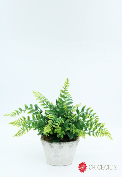 ANT. OVAL GDE. C/HELECHO 14X30 GREEN