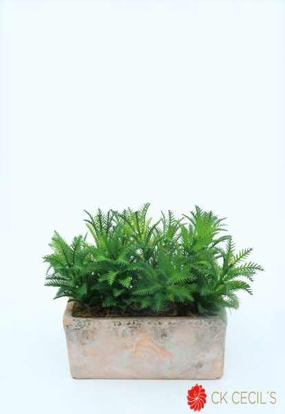 ANT.RECTANGULAR C/ACACIA 20X15 GREEN PINK