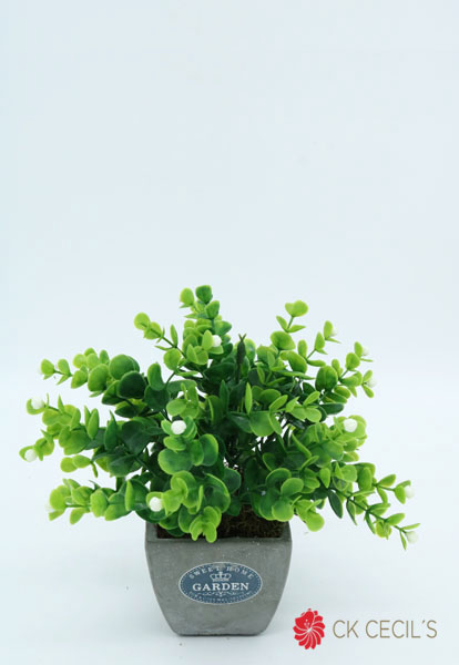 ANT.CUAD.GREY C/CARISSA 12X18C GREY GREEN