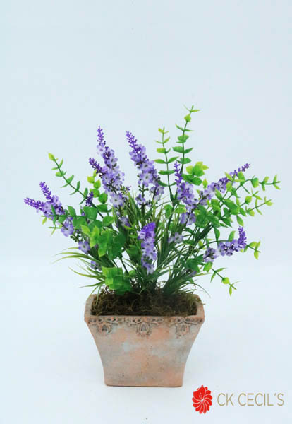 ANT. TRAP.CHATO C/ LAVAN 27X27 LAVANDA PINK