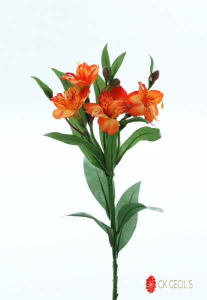 ALSTROMERIA VARA 61CM  ORANGE