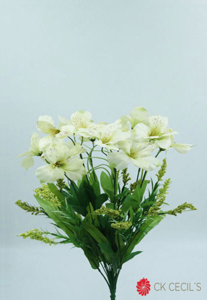 ALSTROMERIA BUSH X 12 X 50 CM. CREAM