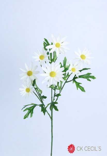 ASTER DAISY SPRAY X 74 CM. CREAM