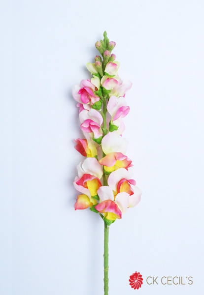 SNAPDRAGON SPRAY X 79 CM. CREAM PINK