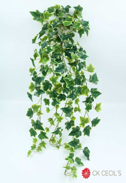 IVY HANGING BUSH 191LVS 86CM VARIEGATED