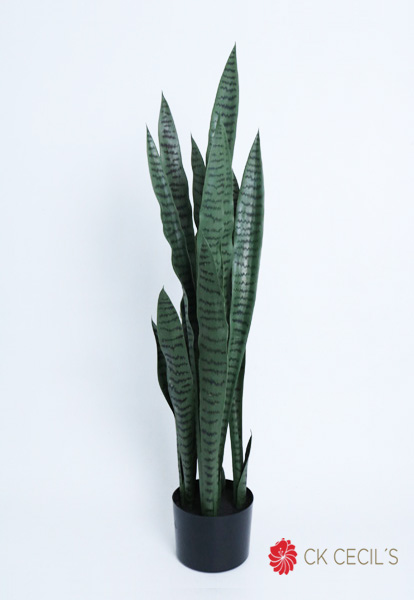 SANSEVIERIA PLANT 1.12MT GREEN