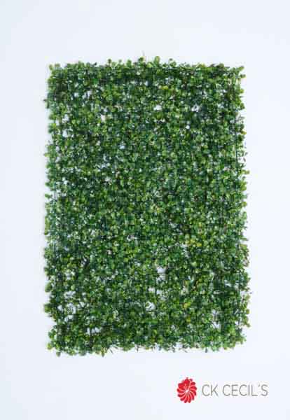 MAT BOXWOOD 40 X 60 CM. GREEN ( JARDIN VERTICAL)