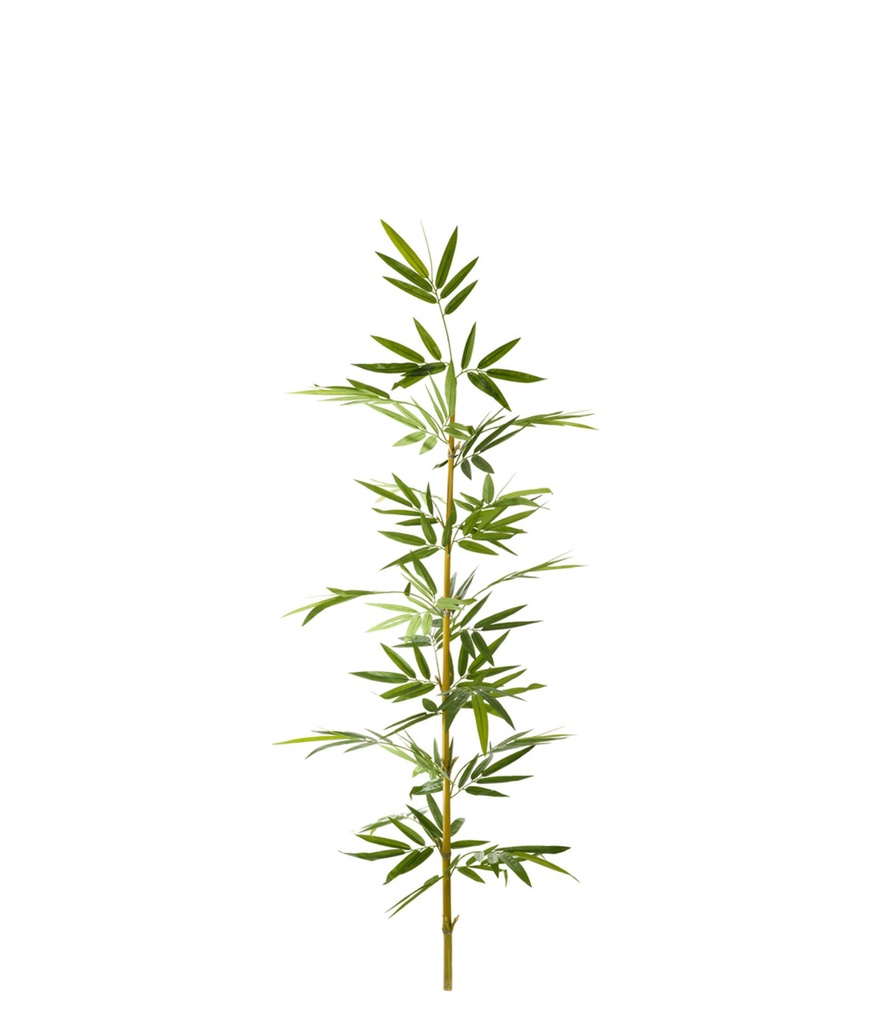 CAÑA DE BAMBOO X 1.8 MTS