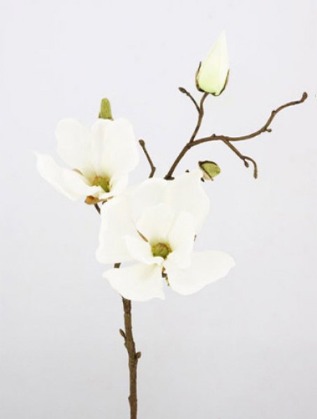 MAGNOLIA SPRAY VARA 48CM. WHITE