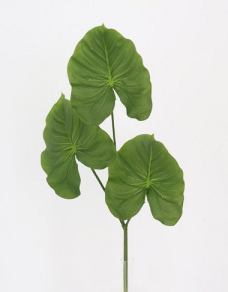 CALLA LILY LEAF X3  61CM. GREEN