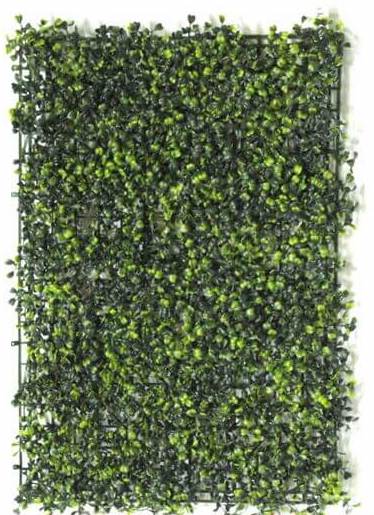 BOXWOOD MAT 40 X 60 CM TT GREEN