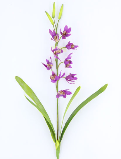 ORCHID SPRAY CON HOJA PURPLE