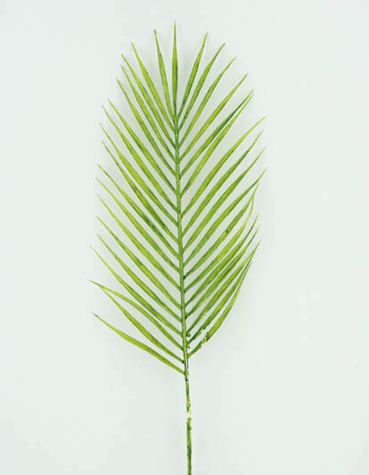 PALM LEAF 71 CM (GREEN)