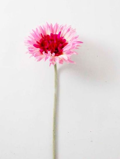 GERBERA DAISY SPRAY 58 CM (PINK)