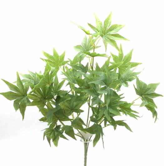 PLANTA ARALIA 48CM