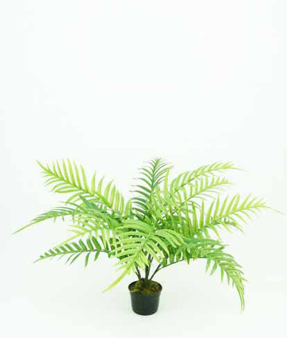 ARECA PALM NAT TOUCH 60CM/14LV