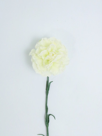 CARNATION SINGLE 59 CM. WHITE