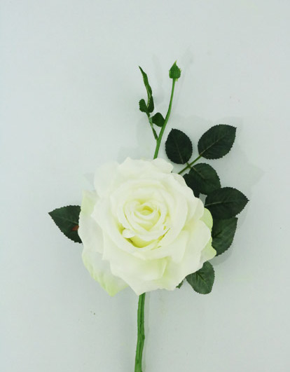 QUIANNIE ROSE 36CM WHITE