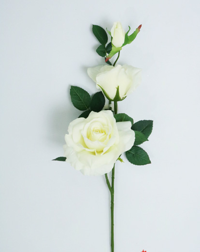 ROSE SPRAY X3 FL. 73 CM WHITE