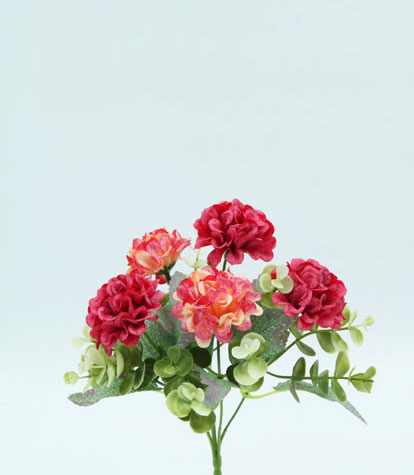 KALANCHOE FLOWERS X 5 29 CM. BEAUTY