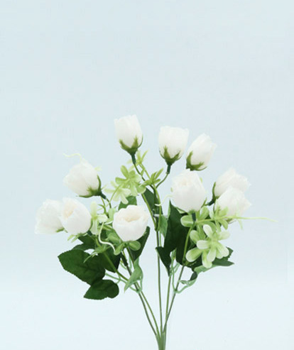 ROSE BUSH X 5 31 CM. WHITE