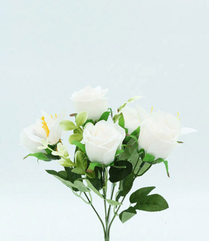 ROSE BUSH X 5 30 CM. WHITE