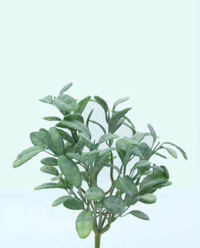 SALVIA BUSH 31 CM. DARK GREEN