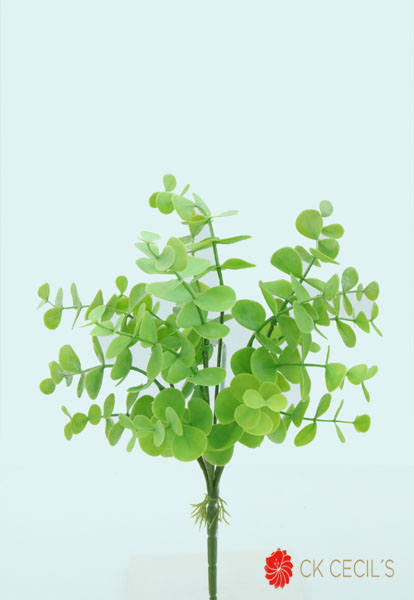 EUCALYPTUS  BUSH X 6 X 38 CM. GREEN