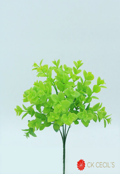 PILEA BUSH 31 CM. LIGH GREEN