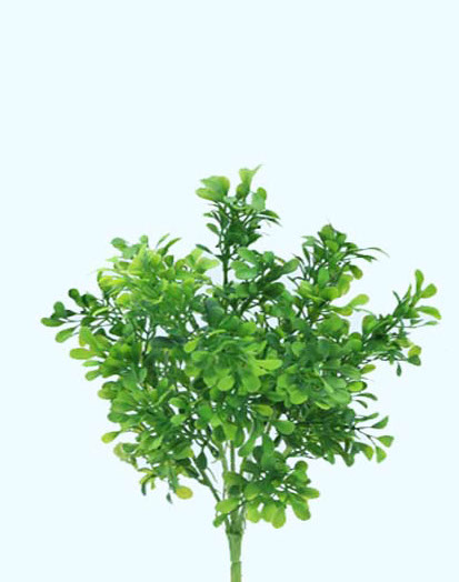 RUDA BUSH X 7 36 CM. GREEN