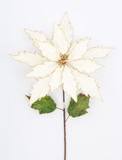 POINSETTIA VARA W/14PETALS 66C CREAM GOLD