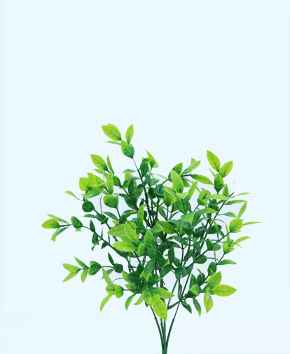 PASTO BUSH 36 CM. GREEN