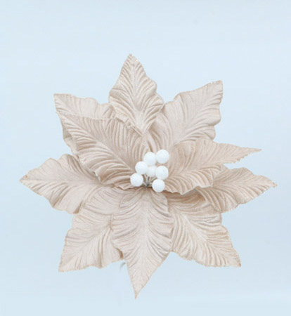 POINSETIA CON CLIP X 30 CM CHAMPAGNE